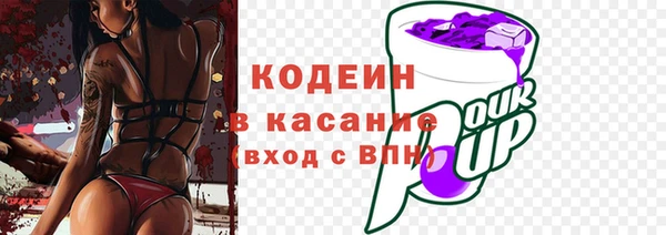 прущие грибы Новодвинск