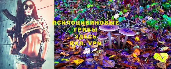 гидра Новокубанск