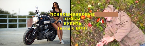 PSILOCYBIN Нефтекумск