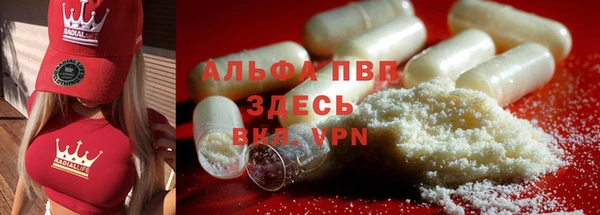 PSILOCYBIN Нефтекумск